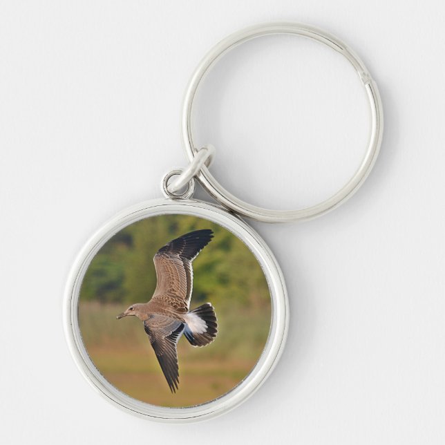 Seagull Keychain (Front)