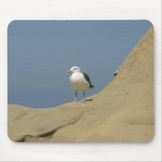 Seagull, La Jolla, California Mouse Pad