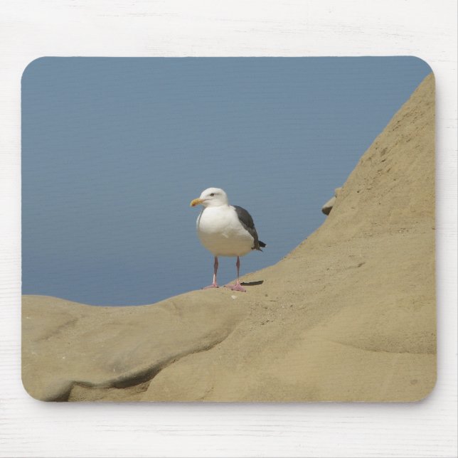 Seagull, La Jolla, California Mouse Pad (Front)