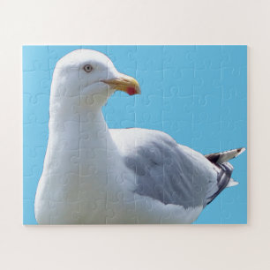 Seagull Laying Down Acrylic  Jigsaw Puzzle