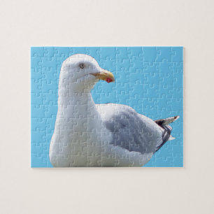 Seagull Laying Down Acrylic Jigsaw Puzzle