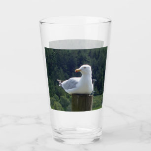 Seagull Laying Down Glass
