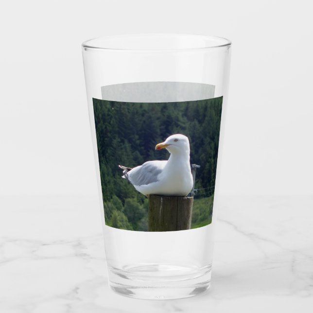 Seagull Laying Down  Glass (Front)