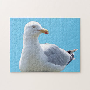 Seagull Laying Down  Jigsaw Puzzle