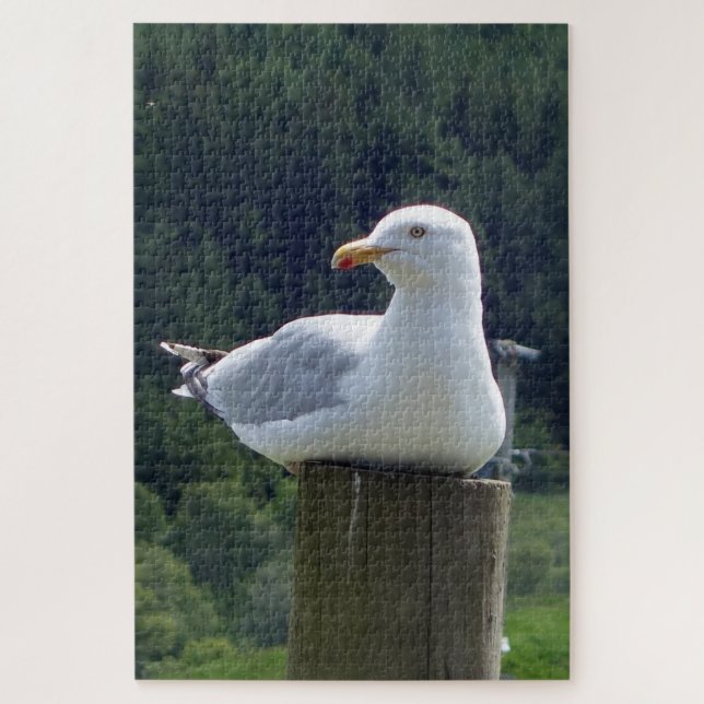 Seagull Laying Down  Jigsaw Puzzle (Vertical)