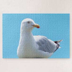 Seagull Laying Down  Jigsaw Puzzle