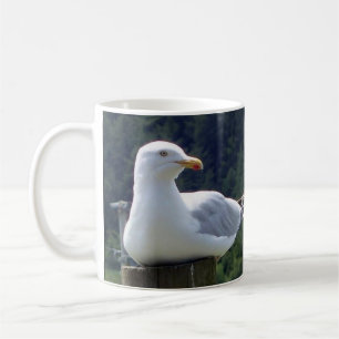 Seagull Laying Down on Fence Post Mug
