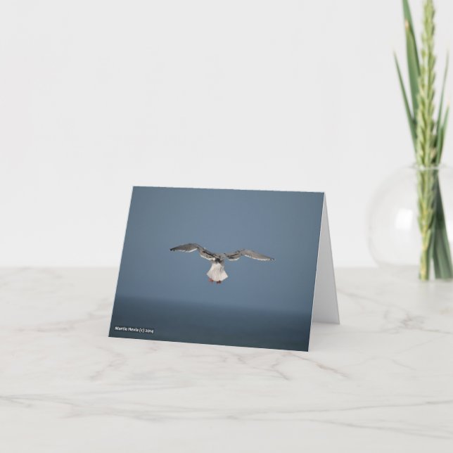 Seagull Leaves Card (Front)