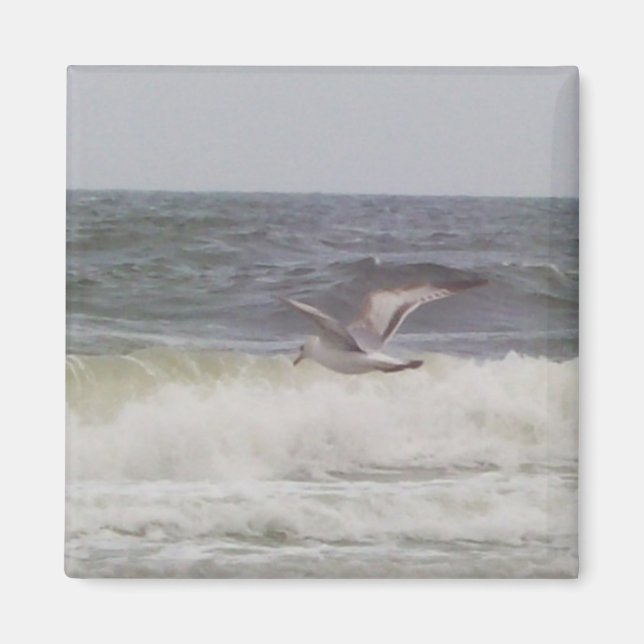 Seagull Magnet (Front)