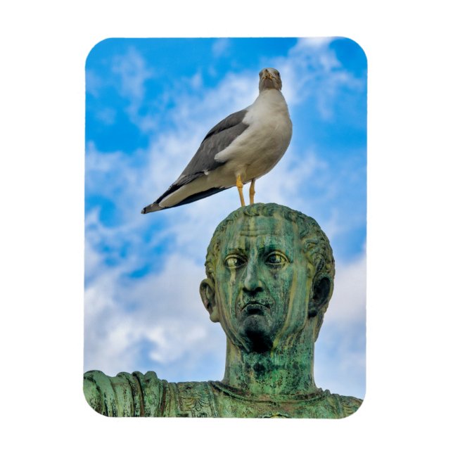 Seagull Magnet (Vertical)