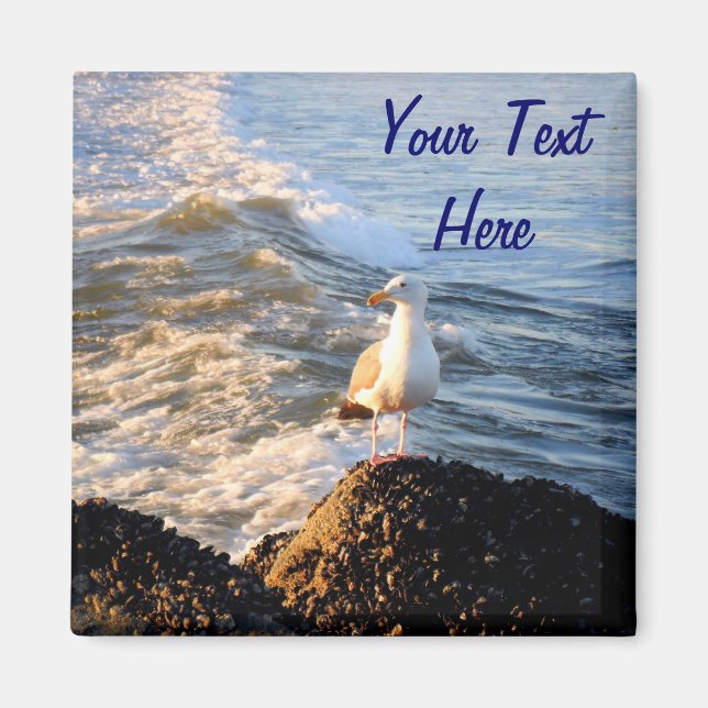 Seagull Magnet (Front)