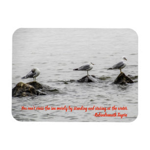 Seagull Motivational Magnet