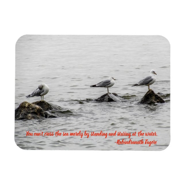 Seagull Motivational Magnet (Horizontal)