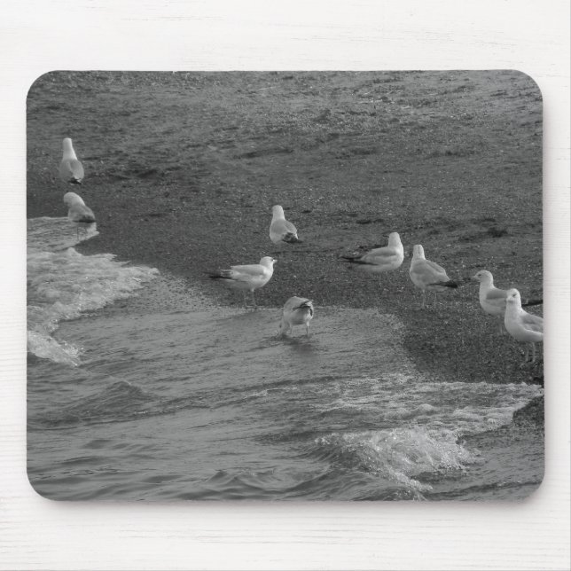 Seagull Mousepad (Front)