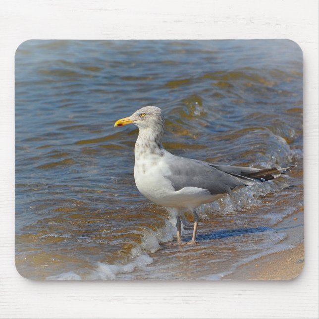 Seagull Mousepad (Front)
