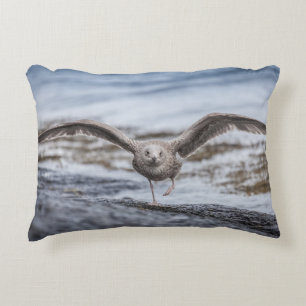 Seagull Nature Photo Accent Pillow