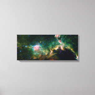 Seagull Nebula NASA Space Canvas Print