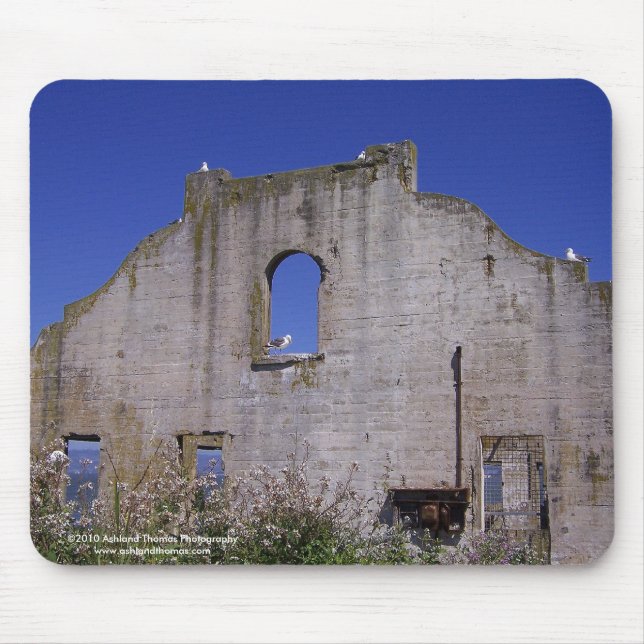 Seagull Nesting Ground Mousepad (Front)