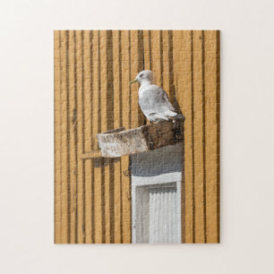 Seagull Norway Jigsaw Puzzle