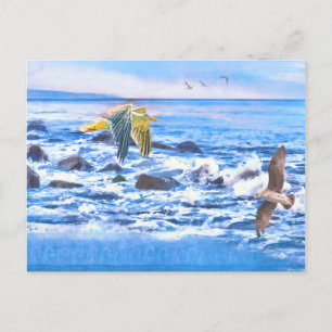 SEAGULL OCEAN PLAYGROUND POSTCARD