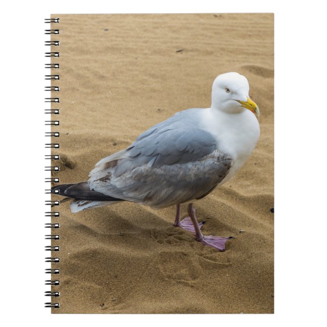 Seagull on a beach notebook (Front)