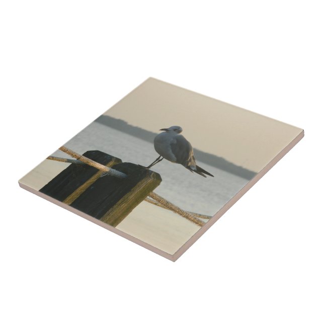 Seagull on a Post Tile (Side)