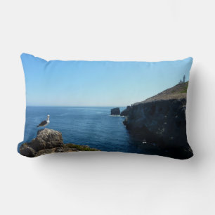 Seagull on Anacapa Island at Channel Islands Lumbar Pillow