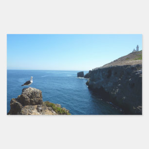 Seagull on Anacapa Island at Channel Islands Sticker