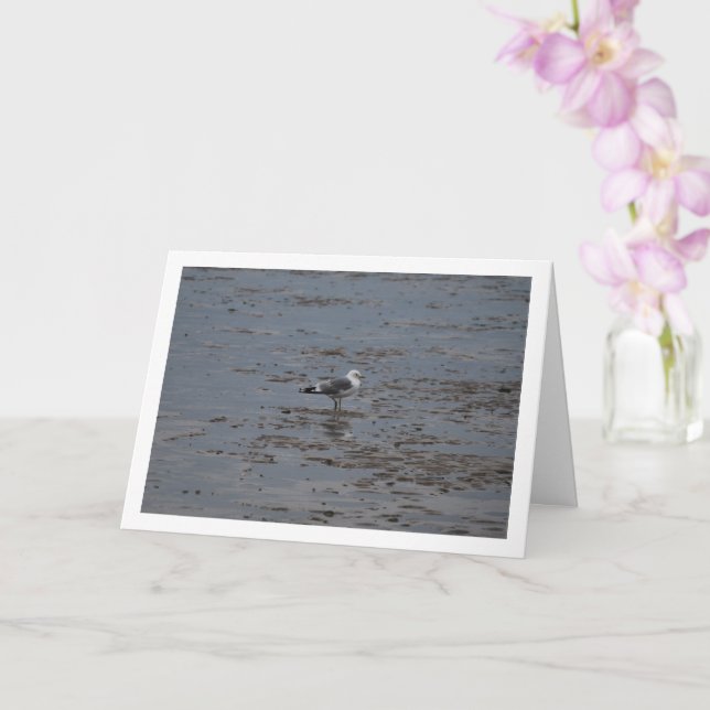 Seagull On Beach Card (Orchid)