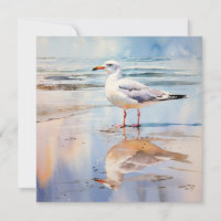 Seagull on Beach