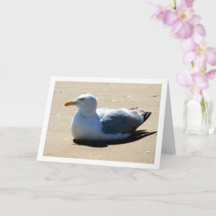 Seagull On Beach Portrait Card