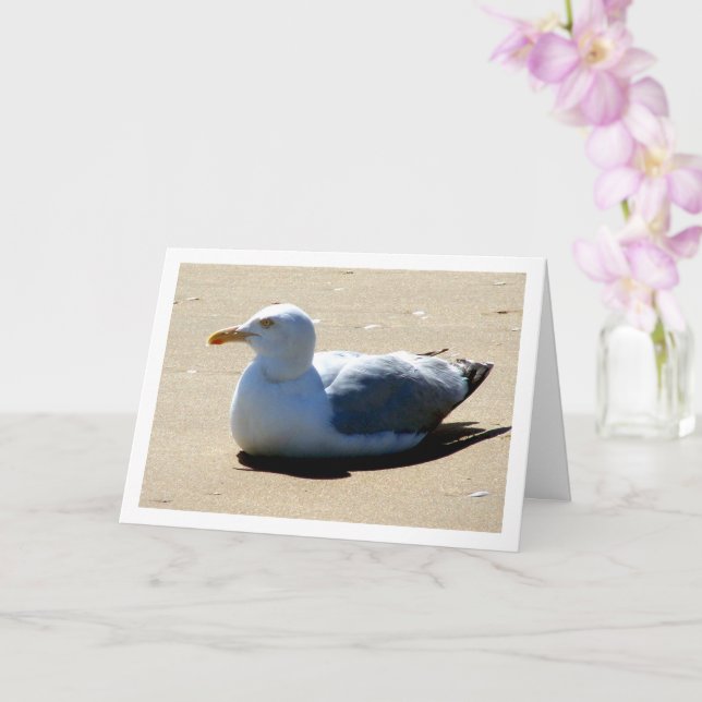 Seagull On Beach Portrait Card (Orchid)
