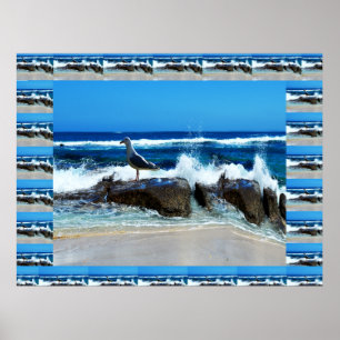 Seagull On Beach Rocks, Poster