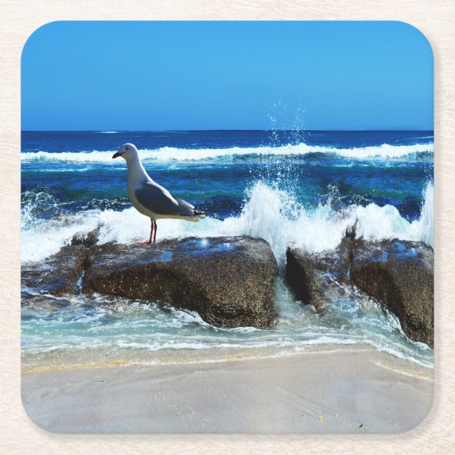 Seagull On Beach Rocks, Square Paper Coaster (Front)