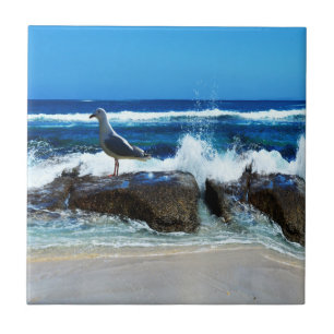 Seagull On Beach Rocks, Tile