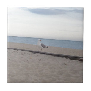 Seagull on Beach Tile