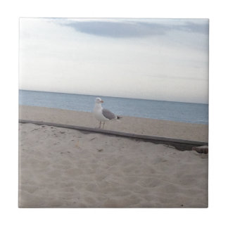 Seagull on Beach Tile