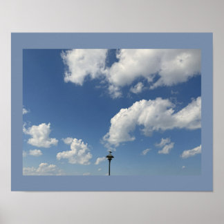 Seagull on Light Poster