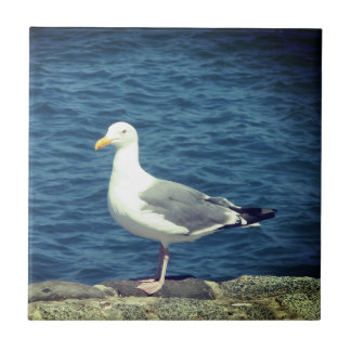 Seagull On The Bay Tile