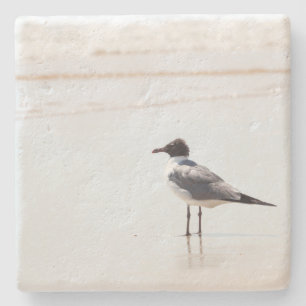Seagull on the Beach Limestone Coaster