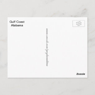 Seagull on the Gulf Coast of Alabama Postcard