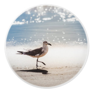 Seagull on Virginia Beach Ceramic Knob