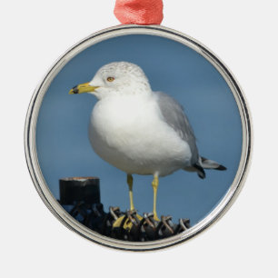 Seagull Ornament