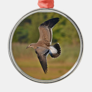 Seagull Ornament