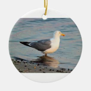 Seagull Photo Ceramic Ornament