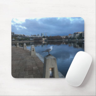 Seagull Photo Mouse Pad