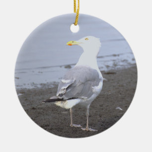 Seagull Photo Ornament 