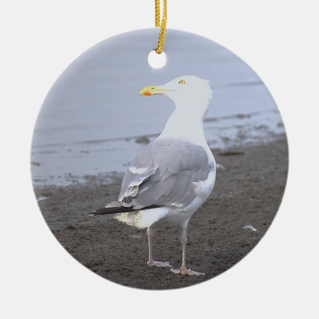 Seagull Photo Ornament  (Front)
