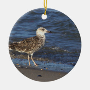 Seagull Photo Ornament