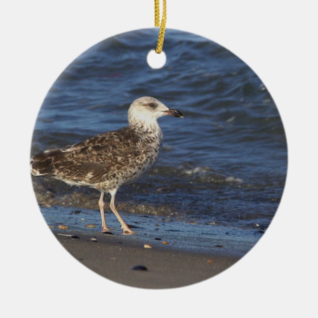 Seagull Photo Ornament (Front)